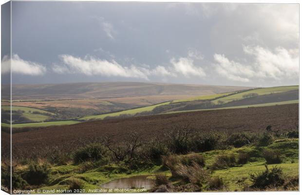 Exmoor on a Stormy Day Canvas Print by David Morton