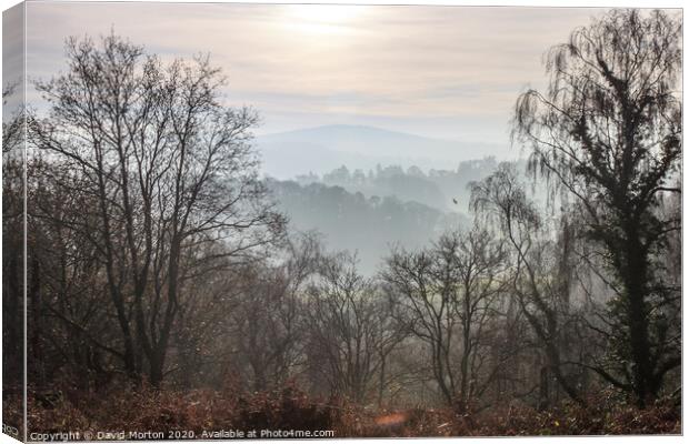 View of Dartmoor across the Teign Valley from Castle Drogo in November Canvas Print by David Morton
