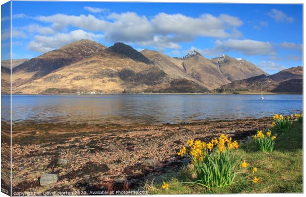 Five Sisters of Kintail  across Loch Duich Canvas Print by David Morton