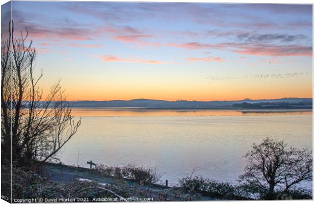 Flock of Birds at Dawn Over the Taw Estuary Canvas Print by David Morton