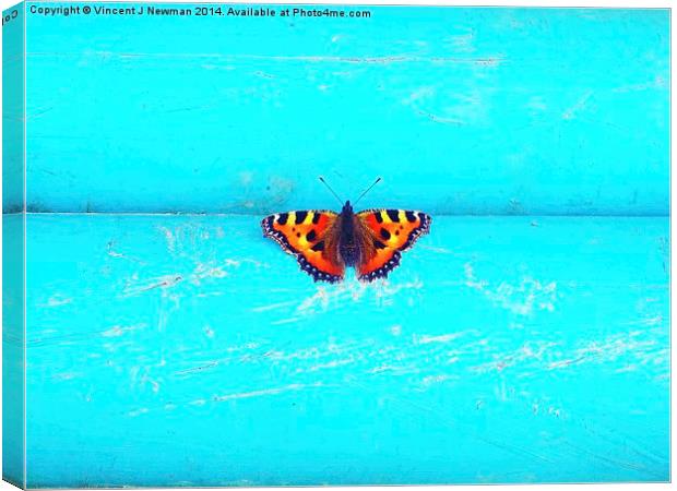 Butterfly- Unique Photography Canvas Print by Vincent J. Newman