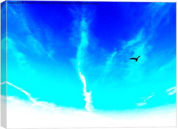 Bird In The Sky- Abstract Photography Canvas Print by Vincent J. Newman