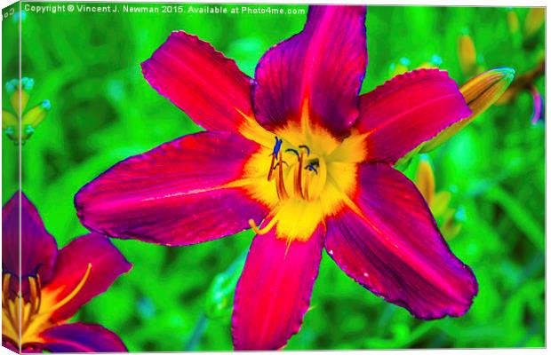 Scarlet Daylily  Canvas Print by Vincent J. Newman
