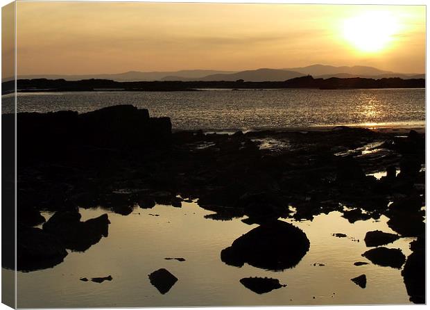 Solway Sunset Canvas Print by Davina Green