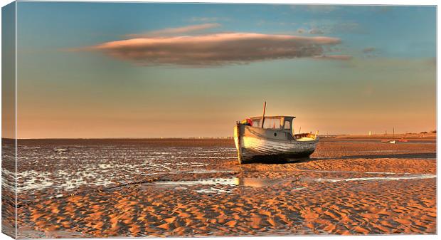 Boat Canvas Print by Mike Janik