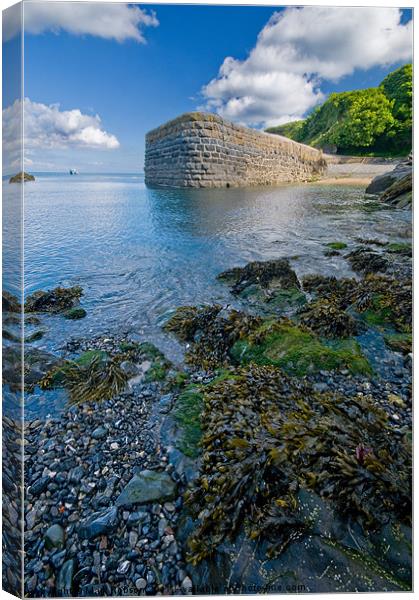 Stackpole Quay Canvas Print by Mark Robson
