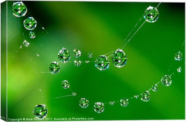 Small Jewels Canvas Print by Mark Robson
