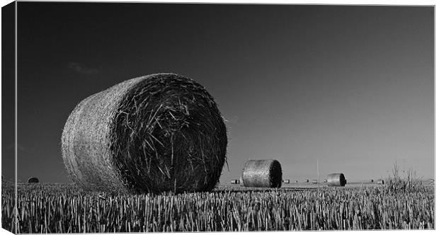 Straw Bales Canvas Print by Mark Robson
