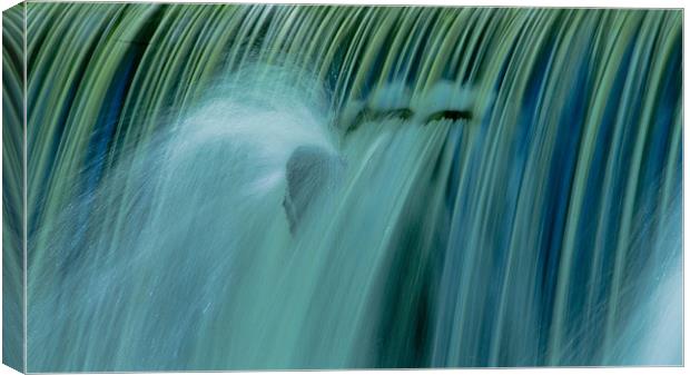 Water Water Canvas Print by Mark Robson