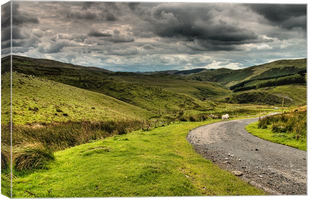 Welsh Hills Canvas Print by Mark Robson