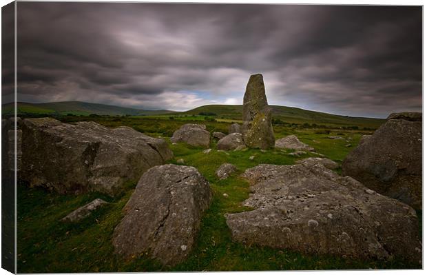 Preseli Hills Canvas Print by Mark Robson