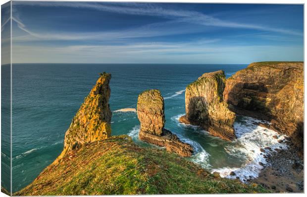 Stack Rocks Canvas Print by Mark Robson