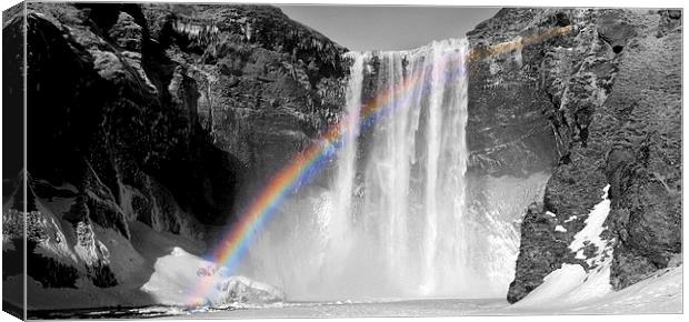 Skogafoss waterfall in Iceland. Canvas Print by richard pereira