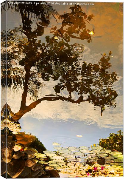 On reflection Canvas Print by richard pereira