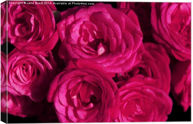 Passionate Pink Roses Canvas Print by Jane Braat