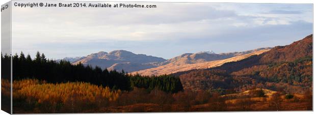  Queen Elizabeth Forest Park in Aberfoyle Canvas Print by Jane Braat