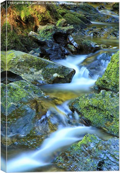 Tranquil Waterfall Oasis Canvas Print by Jane Braat