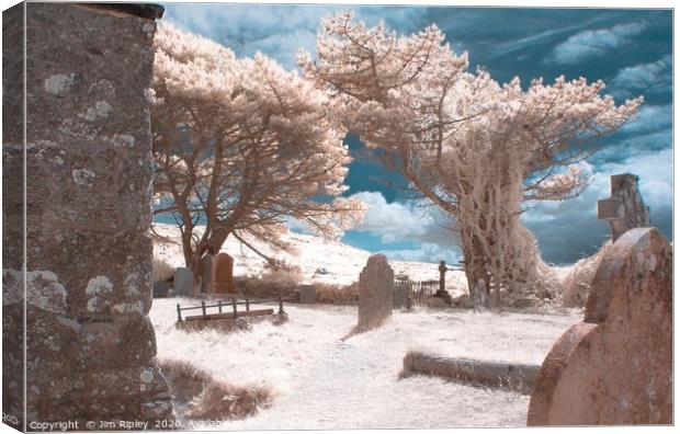 An Infrared shot in Zennor, Cornwall, England. Canvas Print by Jim Ripley