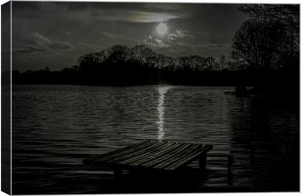 Silhouette at Carr Mill Dam Canvas Print by Mark  Clair