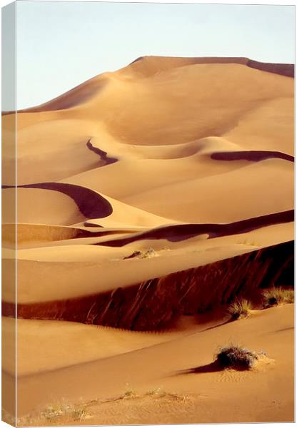 Sand Dune, Dubai, UAE Canvas Print by Jacqueline Burrell