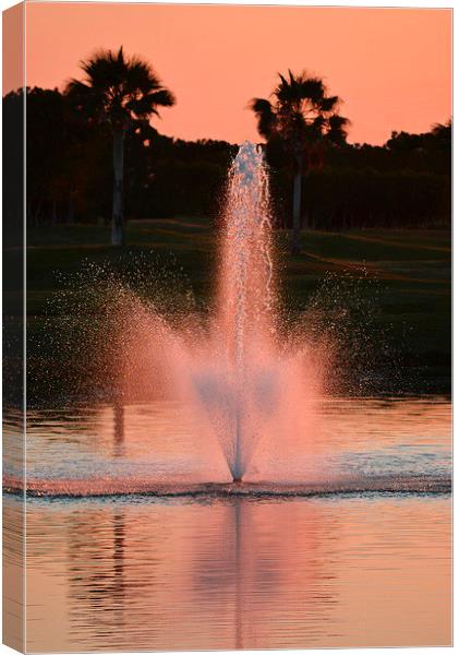 Sunset Pink Fountain Canvas Print by Jacqueline Burrell