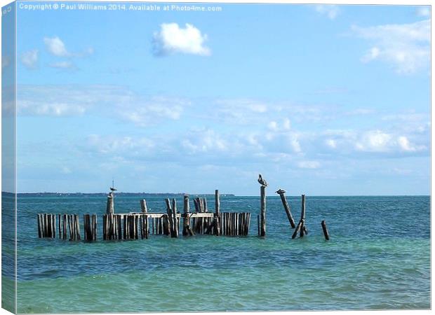 Jetty Remains Canvas Print by Paul Williams