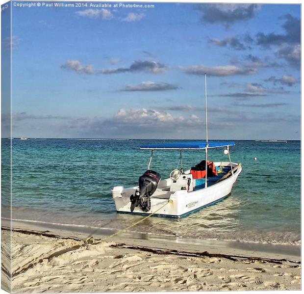 Dive & Snorkel Boat Canvas Print by Paul Williams