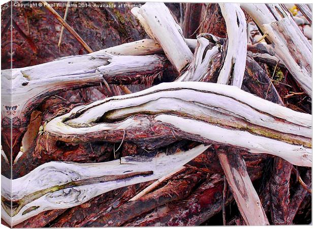  Driftwood Canvas Print by Paul Williams