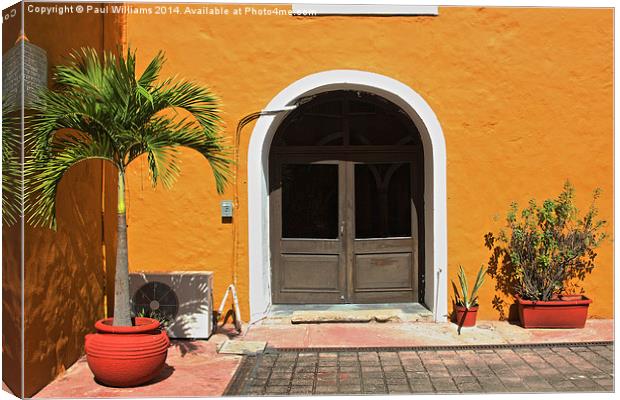 Yellow Walls and Doorway Canvas Print by Paul Williams