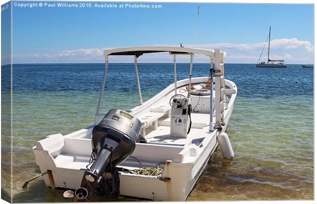  Dive Boat- Puerto Morelos Canvas Print by Paul Williams