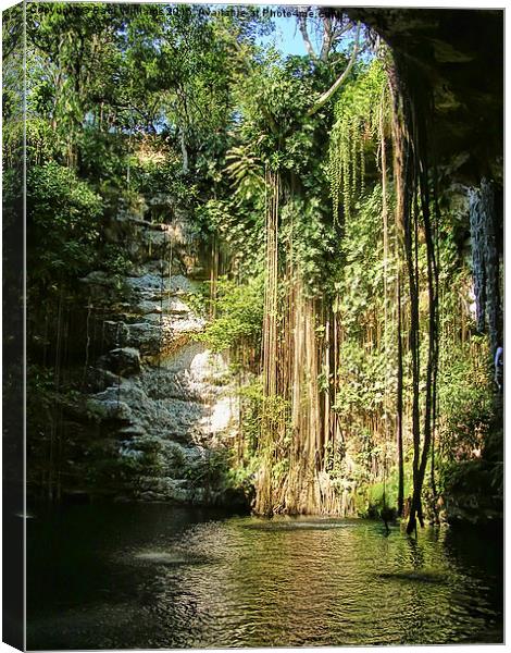  Cenote Canvas Print by Paul Williams