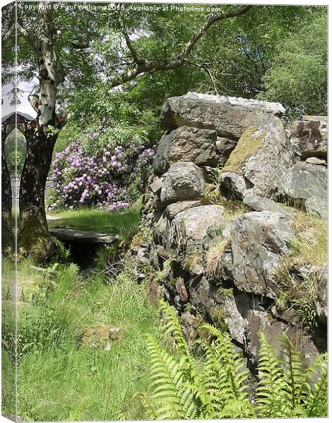 Stone Wall with Rhododendrons Canvas Print by Paul Williams