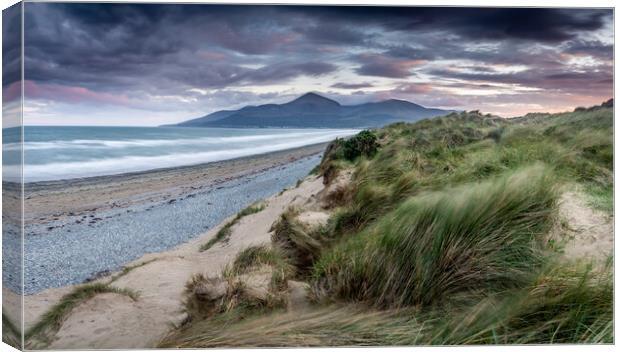 Murlough Beach Sand Dunes Mourne Mountains Norther Canvas Print by Chris Curry
