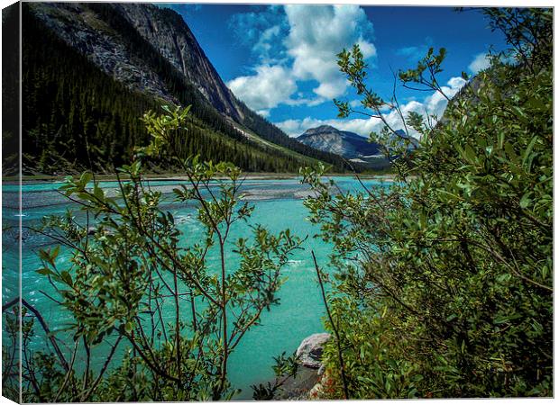  Bow River flowing Rocky Mountains Canada Canvas Print by Chris Curry