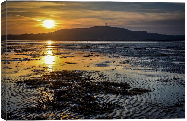  Sunset Strangford Lough Northern Ireland Canvas Print by Chris Curry