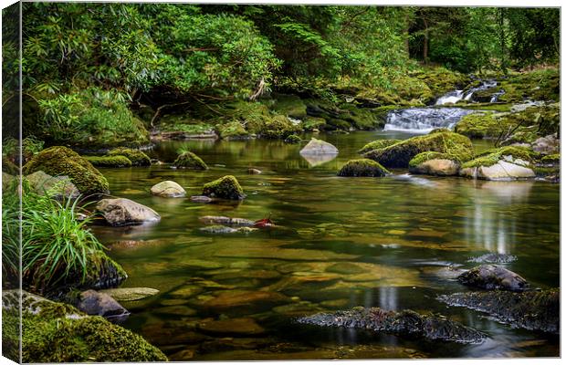  Mournes Shimna River Tollymore Forest Canvas Print by Chris Curry
