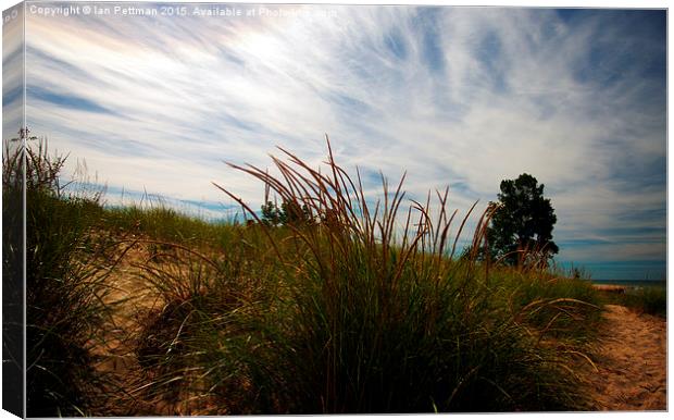 September Dune Grass and Sky Canvas Print by Ian Pettman