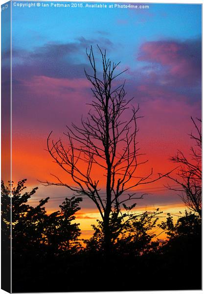  Sunset and Sillouettes  Canvas Print by Ian Pettman