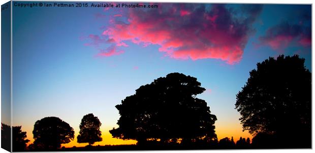 Beverley  Westwood Sunset & Sillouettes  Canvas Print by Ian Pettman
