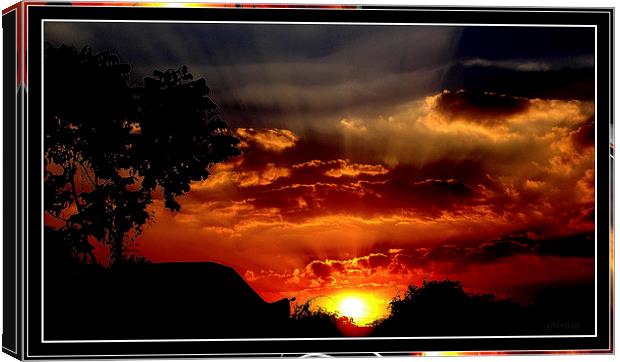 Amusing Sunset Canvas Print by Shivam das