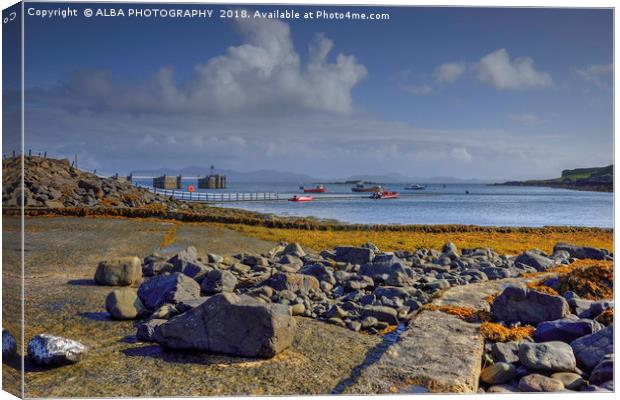 Isle of Muck Harbour, Small Isles, Scotland Canvas Print by ALBA PHOTOGRAPHY