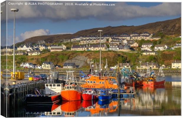 Mallaig Harbour, North West Scotland. Canvas Print by ALBA PHOTOGRAPHY