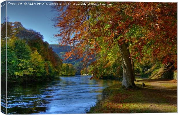 The River Tay, Dunkeld, Perthshire Canvas Print by ALBA PHOTOGRAPHY
