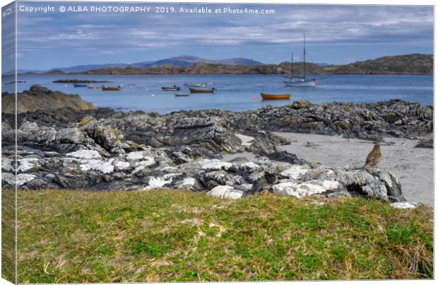 Bird's Eye View of Iona.. Canvas Print by ALBA PHOTOGRAPHY
