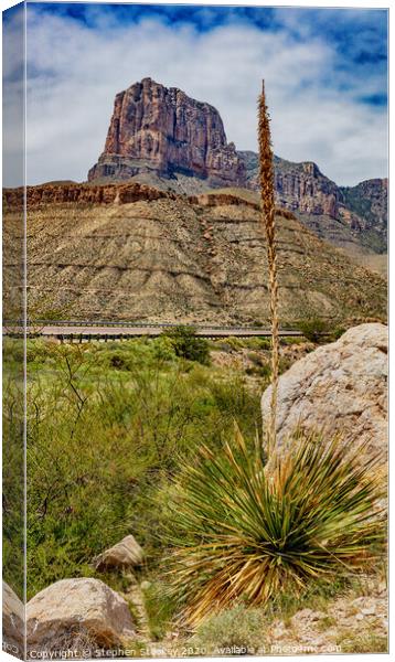 El Capitan Desert View - Texas Canvas Print by Stephen Stookey