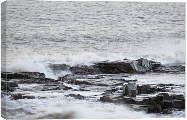 Waves on the Rocks Canvas Print by Michael Ross