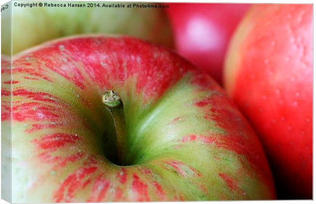  Honey Crisp Apples Canvas Print by Rebecca Hansen
