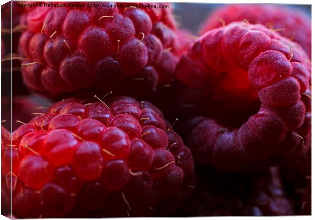  Fresh Raspberries  Canvas Print by Rebecca Hansen