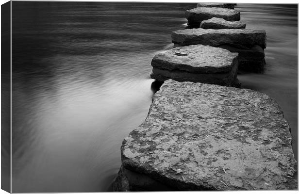 Stepping Forward Canvas Print by Andy Grundy