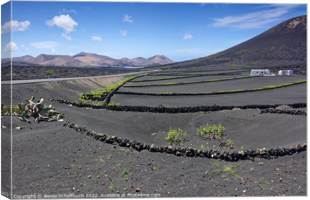 La Geria - Unique Viticulture in Lanzarote Canvas Print by Gisela Scheffbuch